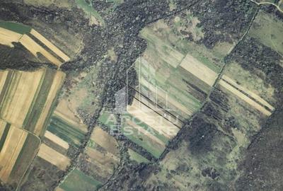 TEREN AGRICOL 1,524 HA, LA DOAR 10.000€ Comision Zero % - 3
