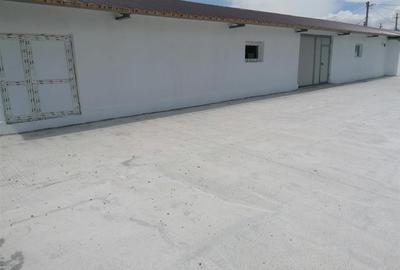 Hala 550mp zona Lunca Cetatuii - Dumbrava - 8
