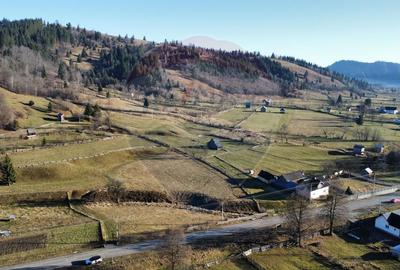 Teren de vanzare  Vatra Moldovitei BUCOVINA - 9