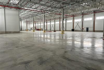 Hala clasa A / Autorizatie ISU /  Sprinklere - 1