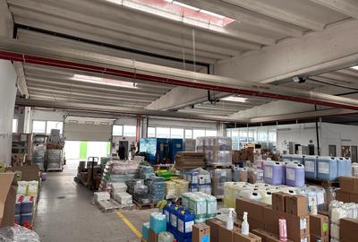 Hala Industriala 4200 mp si teren in proprietate 9200 mp Soseaua de Centura - 13