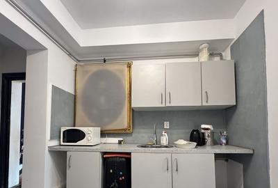 Garsoniera,Barbu Vacarescu,Floreasca,parter/2,Amenajata,centrala,boxa - 5