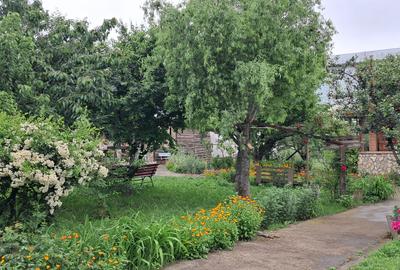 Lumina-teren 4297mp cu deschidere la DN - 1