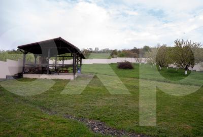 Proprietate unică, în zonă verde și liniștita - 7