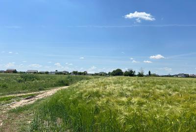 Vanzare teren în Măgurele, Pruni, strada Argeș 12000 euro - 8