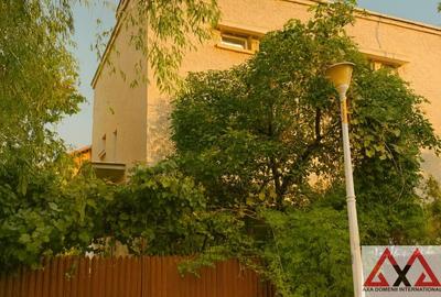 Vila interbelica, pod mansardabil, elemente originale - in Vatra Luminoasa! - 1