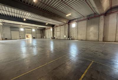 DE INCHIRIAT HALĂ INDUSTRIALĂ CLASA A | 5.000 MP | CHITILA - 12