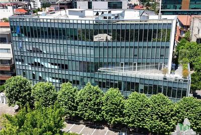 Spatiu de Birouri de 363 mp in Zona Herastrau - 5