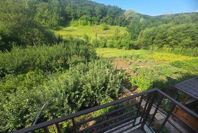 Casa in Luncani cu teren 5500 mp - 3