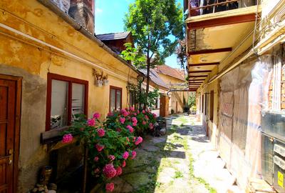 APARTAMENT LA CASA - 3 CAMERE  - CENTRUL ISTORIC - 19