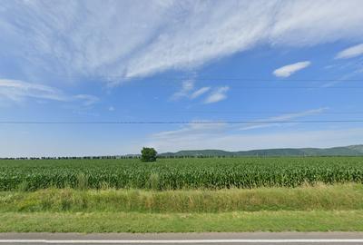 Teren agricol extravilan – deschidere directă DN1 – Bănești, Prahova - 1