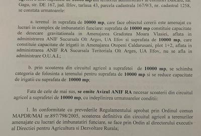 Teren intravilan 10.000 mp | PUZ aprobat 17 loturi | Gagu – Dascălu | 8km DNCB - 7