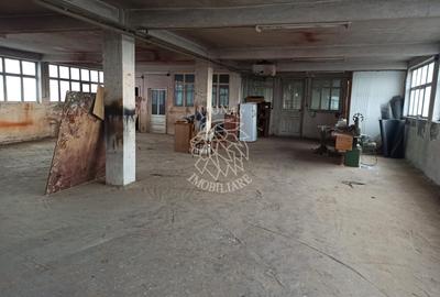 Complex de 3 hale 1545 mp-ideal prelucrare, service-Valea Ghinzii - 1