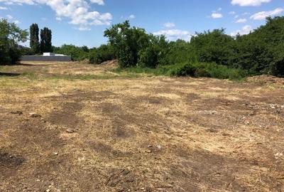 Vand teren intravilan Prundu, 2900 mp,front str. 110 ml - 649000 euro negociabil - 3