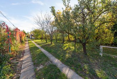 Casa cu 4 camere de vanzare Domnesti - 18