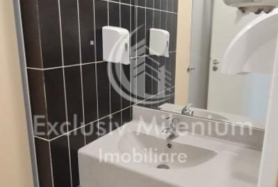 UltraCentral Armeneasca Birouri  /Rosetti - 13