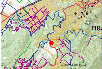 Teren intravilan 10.440 mp – Poiana Brașov | Deschidere 217 ml DN1E | Ideal dezv - 4