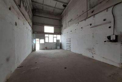 Hala 136mp in zona Fizicienilor - 3
