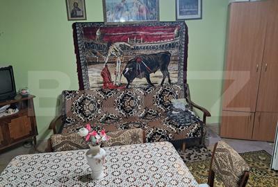 Casa Homorod Brasov, ideala locuit si gradinarit - 5