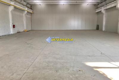 Hale Productie Depozitare Alba Su. de la 1725 mp. - 4000 mp. finisata complet - 2