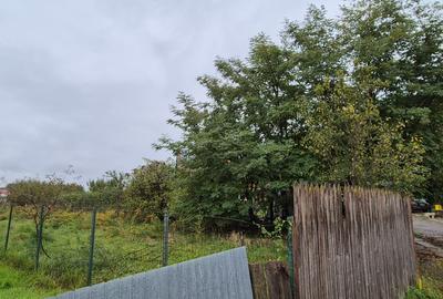 De vanzare teren intravilan - 500 mp- sat Tirimioara - 3