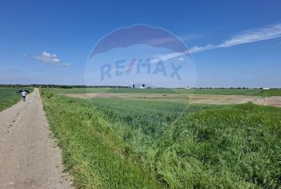 Vanzare teren intravilan parcelat, in Branesti langa - Autostrada A2 - 23