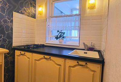 Garsoniera Ion Mihalache- Titulescu- Banu Manta - 10