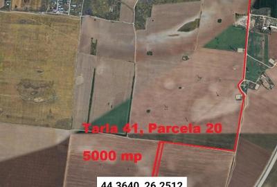 Proprietar, terenuri agricole extravilane, cadastru si intabulare, A0 - 10
