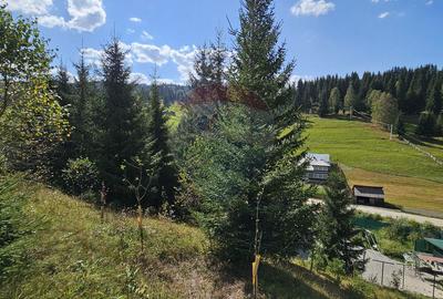 Casă / Vilă de vacanta in Dorna Arini, Suceava - 54