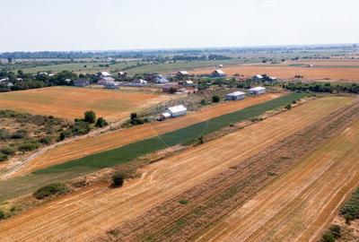 Vanzare teren  intravilan 983mp Sabareni / Strada sondei - 4