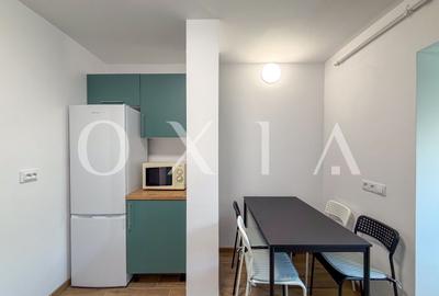 OX739 Circumvalatiunii, Renovat, Prima Inchiriere - 8