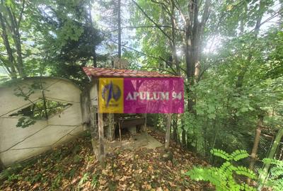 Complex turistic de vanzare in Busteni - Zona Piatra Arsa - 57