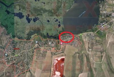ID 7563 Teren Sat MINERI cu DESCHIDERE la LACUL CASLA - 2