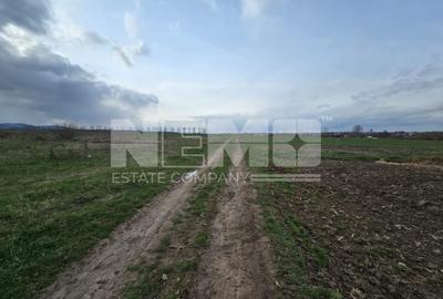 Teren extravilan 29000€ I 33.18 ari I Horodnic - 3