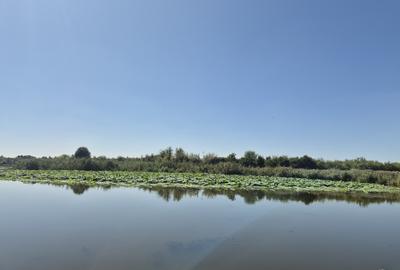 Izvorani - teren cu deschidere la lac - 1