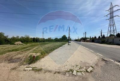 Teren 545,000mp Dragomiresti-Vale - 4