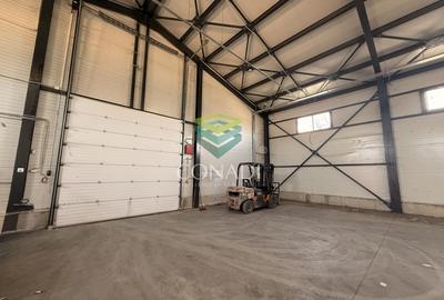 Hale premium cu Spatiu de birouri– zona Oxigenului – Cernica - 6