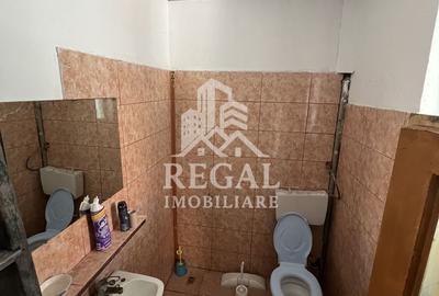 Casă de vânzare în Călanul Mic –  2 clădiri, curte, grădină, garaj - 14