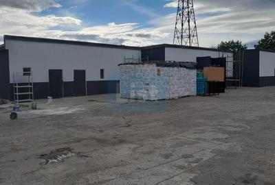 Spatiu industrial de vanzare, 8120 mp, Neamt - 13