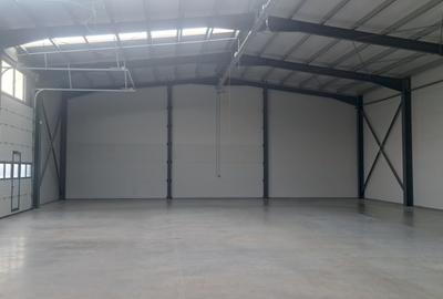 Stefanestii de Jos – Centura Bucuresti, hala 350 mp - 1