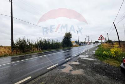 Teren extravilan de vanzare in Frumusani, acces direct DN4 - 1