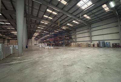 Inchiriere depozit/hala/spatiu industrial Chiajna - Ciorogarla A1 - KM13, ILFOV - 14