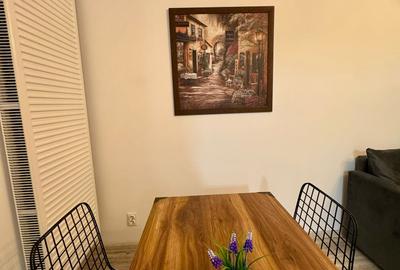 Apartament 2 camere de închiriat zona Dămăroaia - 14