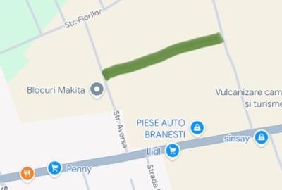 Teren de vânzare Branesti - 1