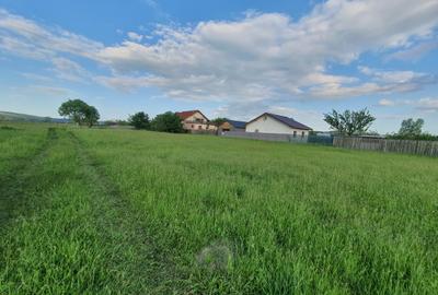 Teren rezidential Bod-Brasov zona de case - 4
