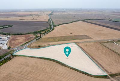 Teren DN6 Timișoara -Cenad sens giratoriu Dudeștii Noi - 1