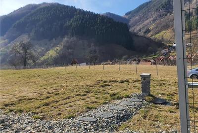 Vindem urgent 1035mp teren intravilan in Rau Sadului ,  SIBIU - 26