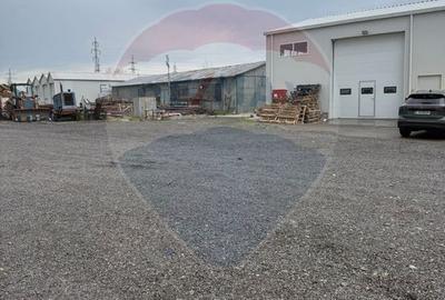 Hale de inchiriat în zona Zona Industriala - 8