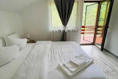 Vand in Cimpul Cetatii casa de vacanta cu 5 camere plus living, mobilat si utila - 3
