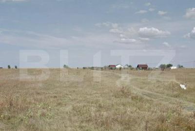 Teren intravilan de 10.018 mp, zona Aeroport/Ghercesti - 1